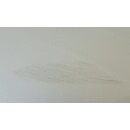 Smart ForTwo 451 Türpanel Verkleidung links silber RIVER SILVER A4517220109 C50L