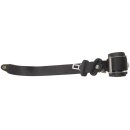 Smart ForFour 454 Sicherheitsgurt hinten links A4548600705