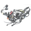 NEU Smart 453 elektrischer Leitungssatz Motor und...