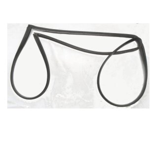 Smart ForTwo 450 Dichtung Einfassung Windschutzscheibe Q0000680V009000000