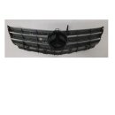 Mercedes-Benz A Klasse W169 Kühlergrill Frontgrill chrom A1698881360 A1698881783